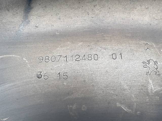 9807112480 Защита тормозного диска заднего левая купить Ровно