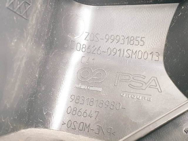PEUGEOT 9831818980 Кронштейн бампера заднего левый в наличии Ирпень