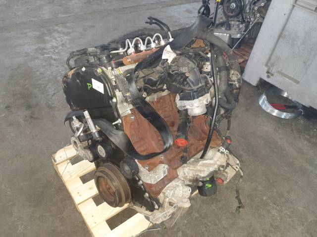 FORD CYFF Двигатель в наличии Павлоград