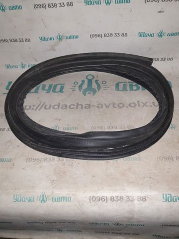 Уплотнитель двери задней, (на кузове) AM5Z5825324D FORD