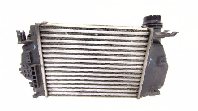 RENAULT 144614EB0A Интеркулер в наличии Черновцы