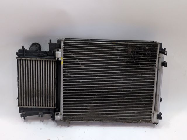 RENAULT 214106UB0B Радиатор в наличии Львов