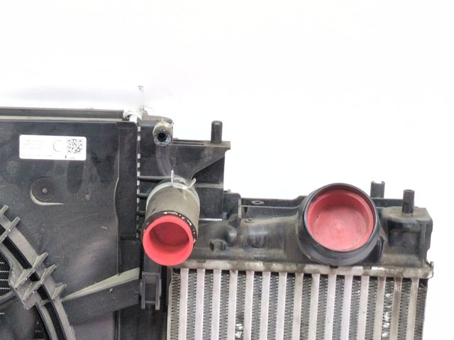 RENAULT 214106UB0B Радиатор охлаждения двигателя в наличии Ирпень