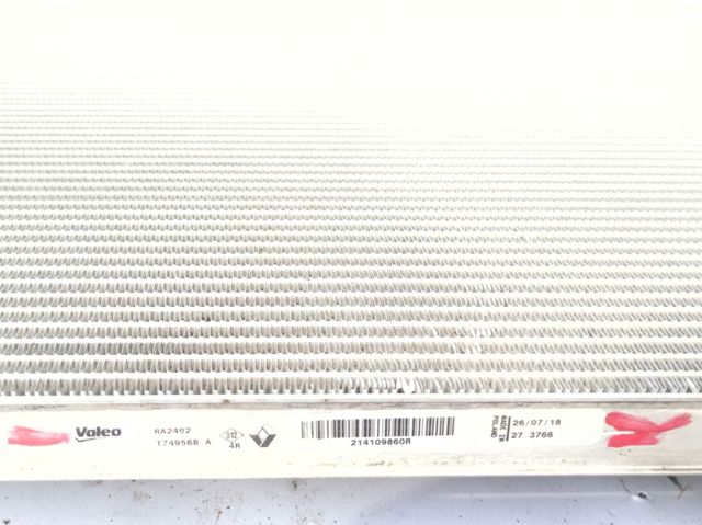 214109860R купить Павлоград