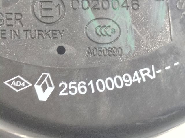 256100094R купить Черкассы