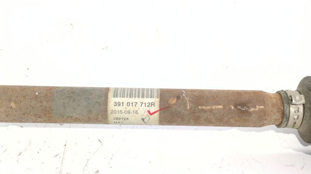 RENAULT 391017712R в наличии Кривой Рог