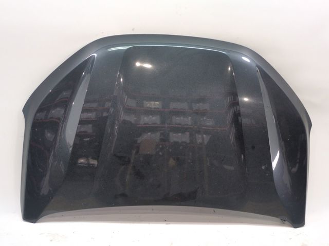 651004113R RENAULT Капот купить в Львов