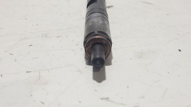 166009384R RENAULT Форсунка впрыска топлива купить в Львов