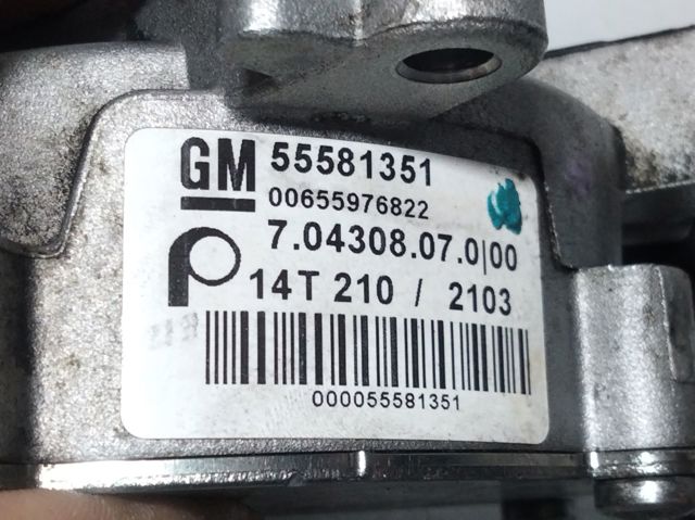 OPEL 55581351 Насос вакуумный в наличии Черновцы