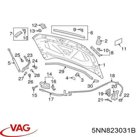 Капот 5NN823031B VAG