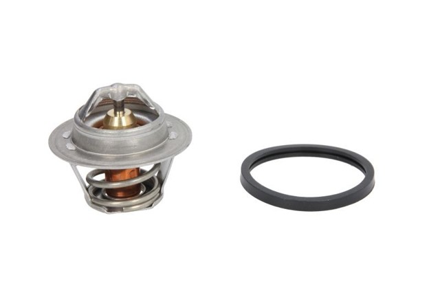 TH489887J VERNET Термостат купить в Хмельницкий