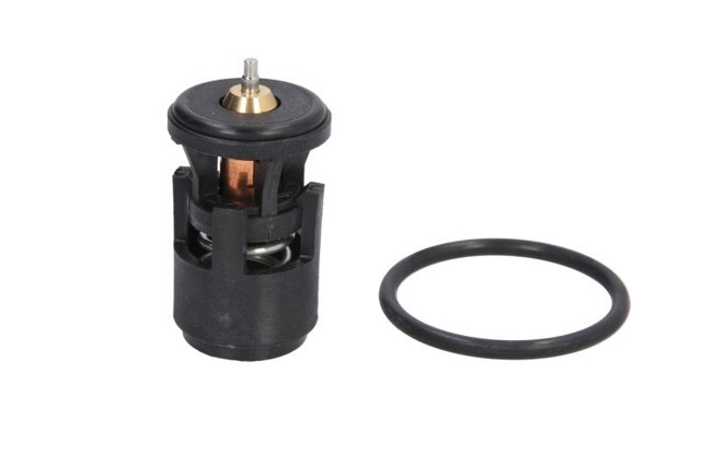 VERNET TH627487J Термостат в наличии Николаев