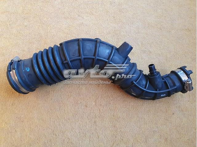 165764382R RENAULT Патрубок расходомера воздуха купить в Сумы