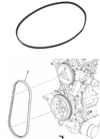 55569329 Ремень генератора купить Сумы