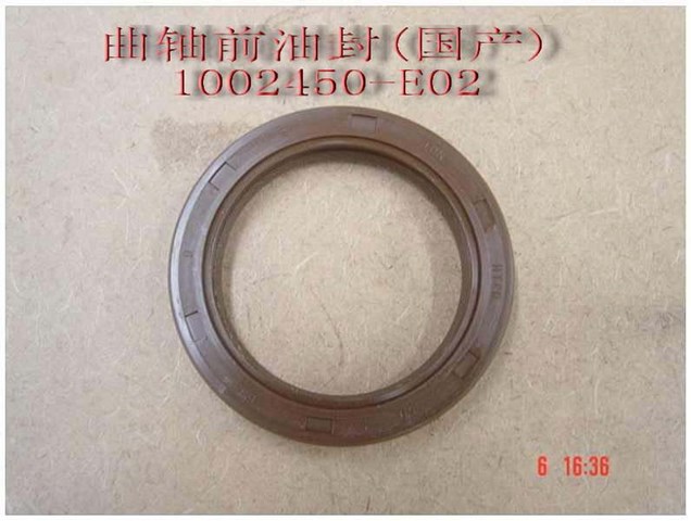 1002450E02 Great Wall