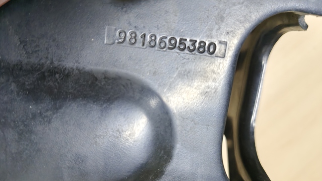 PEUGEOT 9818695380 в наличии Ужгород