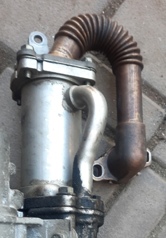 RENAULT 147350718R Шланг (патрубок) радиатор EGR, подача в наличии Киев