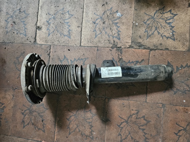Амортизатор подвески передний левый 31316873804 BMW