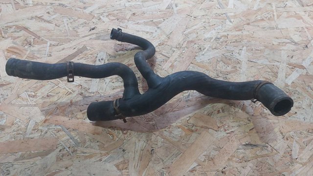 4408497 Шланг (патрубок) радиатора охлаждения нижний купить Львов