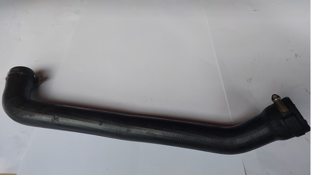 8200248597 RENAULT купить в Запорожье