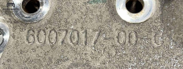 Цапфа передняя левая 104305200A TESLA