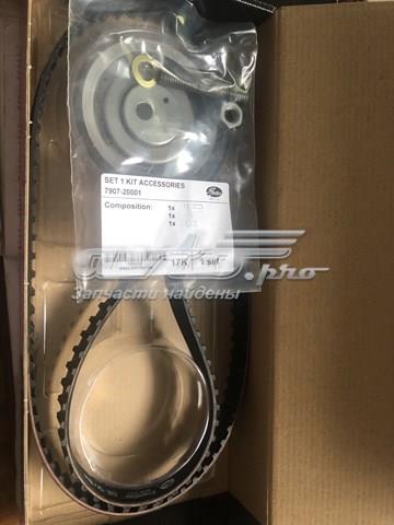 K015308 Комплект ГРМ купить Винница