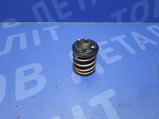 11517805192 BMW Термостат купить в Черновцы
