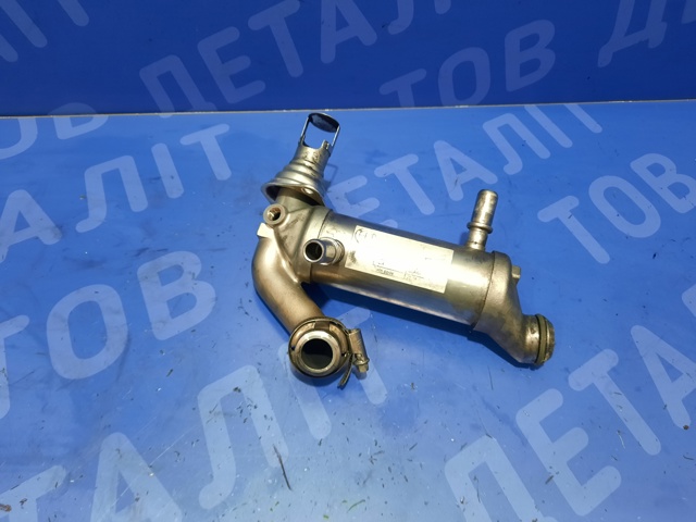 Прокладка крышки маслозаливной горловины 11618509116 BMW