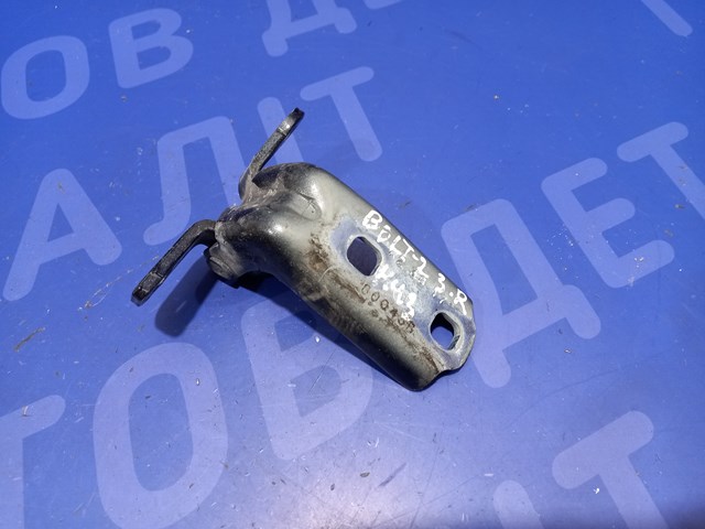 Петля задней двери, правой 13581571 GM