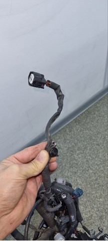 SUBARU 24020AF90A Жгут проводов моторного отсека в наличии Тернополь