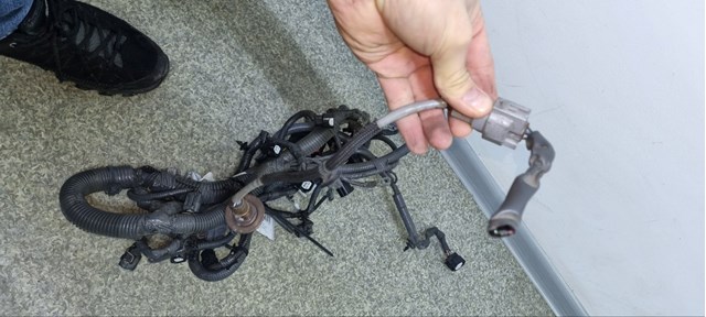 24020AF90A SUBARU Жгут проводов моторного отсека купить в Львов