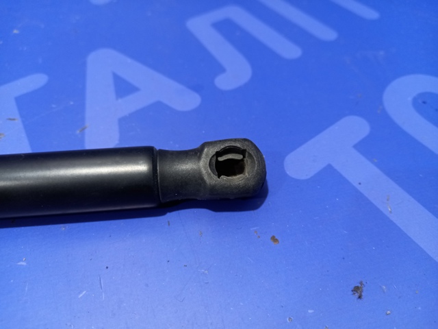 Амортизатор крышки багажника 3G9827550B VAG