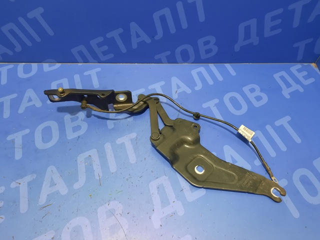 BMW 41007198618 Петля капота правая в наличии Черновцы