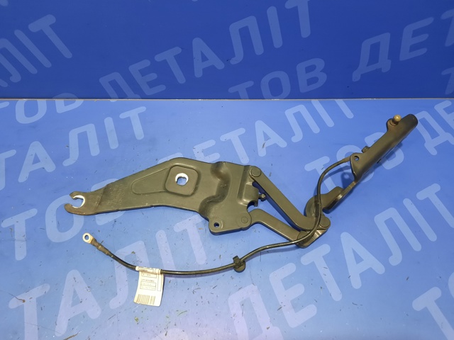 41007198618 Петля капота правая купить Черкассы