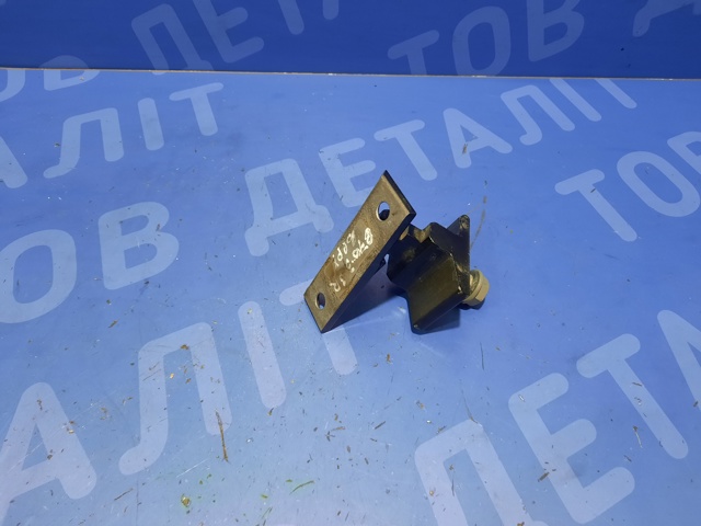 BMW 41527200244 Петля двери задней правой в наличии Запорожье