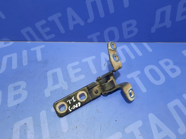 Петля задней багажной, 3/5 -ой двери 41627170921 BMW