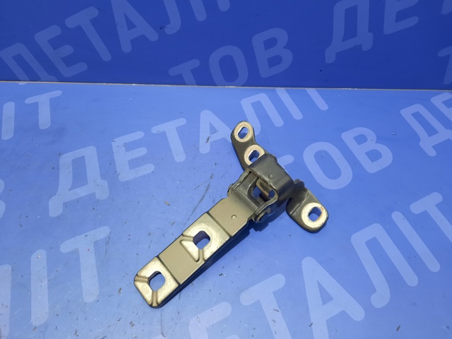 Петля третей/пятой двери 41627170922 BMW