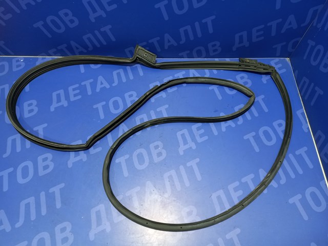 Уплотнитель двери передней, левой (на двери) 42562283 GM