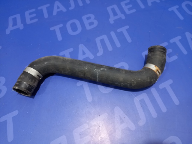 45161SC010 Шланг (патрубок) радиатора охлаждения верхний купить Киев