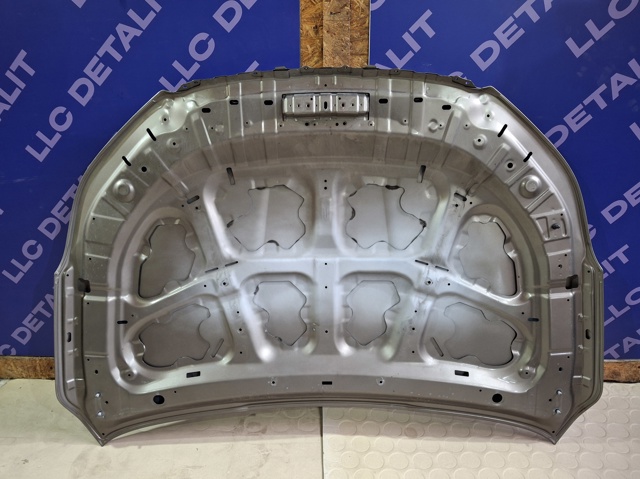 57229SG0009P Капот купить Хмельницкий