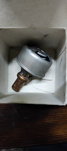 TH449586 Термостат купить Ужгород