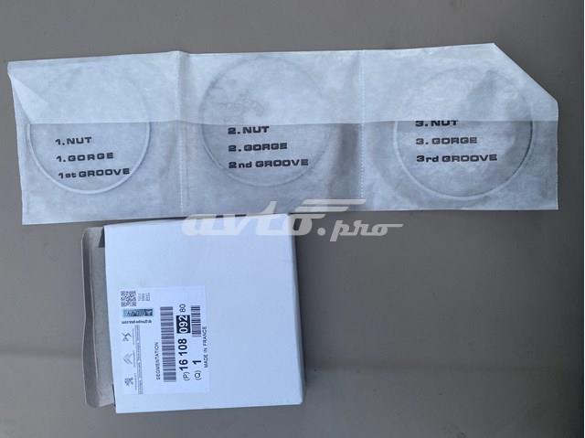 9804617380 PEUGEOT Прокладка ГБЦ купить в Кривой Рог