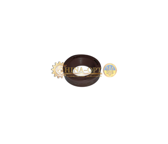 CHERY 015311109AA Сальник АКПП/КПП (входного/первичного вала) в наличии Ужгород