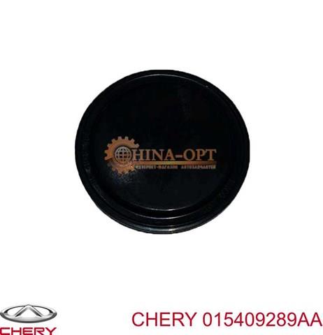 CHERY 015409289AA Заглушка задней крышки КПП в наличии Черновцы