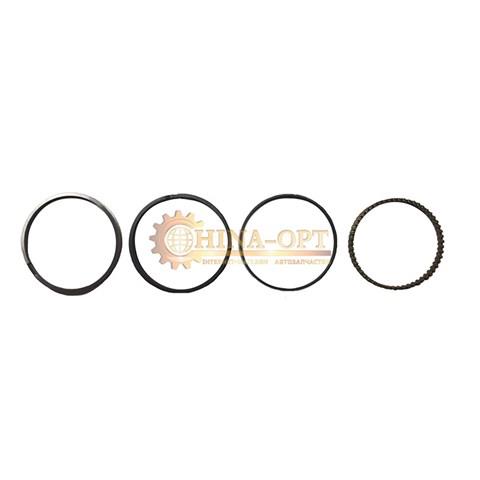 Кольца поршневые (491q, +0.25, комплект) 1004100-E00-B1