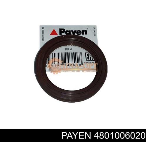 Сальник двигателя, распредвала 4801006020 PAYEN