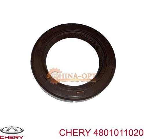 CHERY 4801011020 Сальник распредвала двигателя в наличии Черновцы
