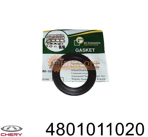 4801011020 CHERY Сальник распредвала двигателя купить в Хмельницкий