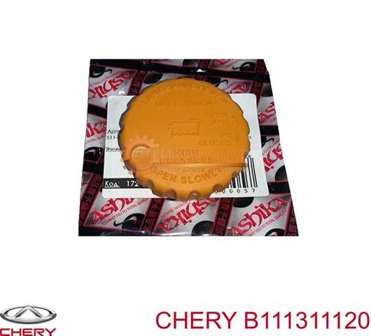 B111311120 CHERY Крышка расширительного бачка купить в Харьков