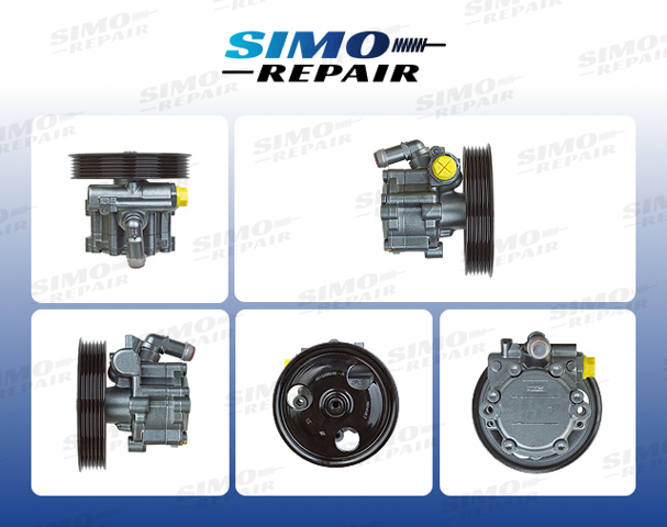 491105510R Renault (RVI) насос гур
